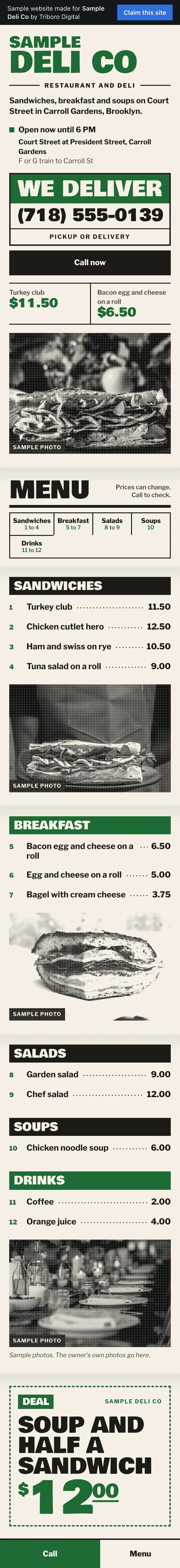 Sample website on a phone